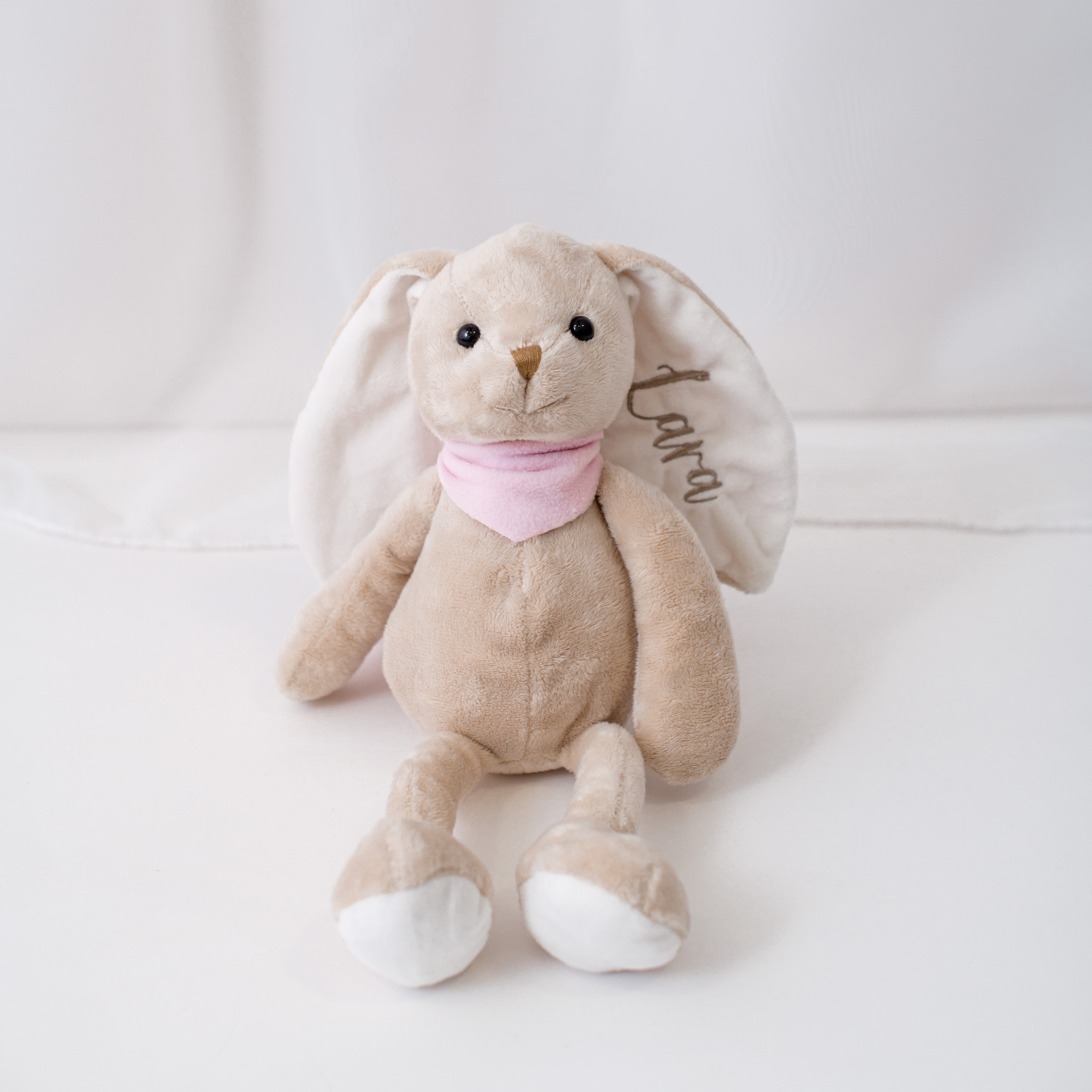 Moj zajček z roza rutko